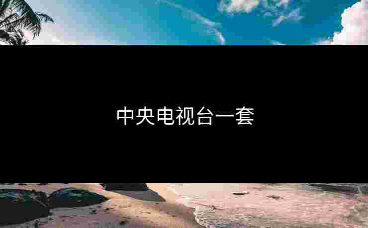 中央电视台一套 中央电视台一套