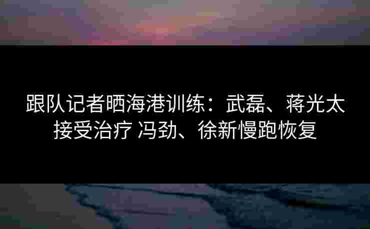 跟队记者晒海港训练:武磊、蒋光太接受治疗 冯劲、徐新慢跑恢复 跟队记者晒海港训练:武磊、蒋光太接受治疗 冯劲、徐新慢跑恢复